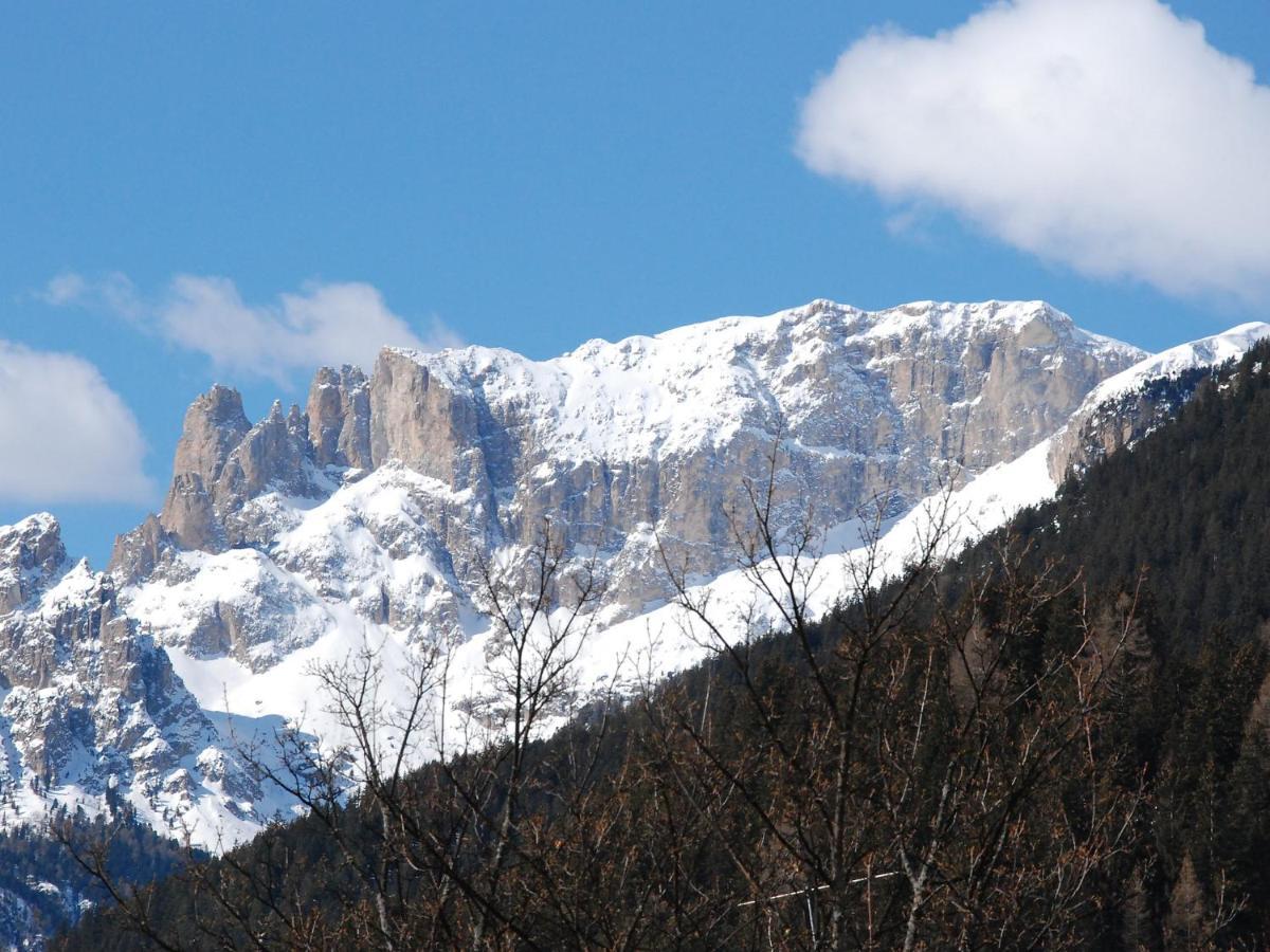 Apartment Villa Placidia-8 By Interhome Campitello di Fassa Kültér fotó